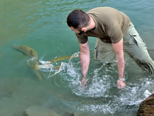 Golden Mahseer Fishing