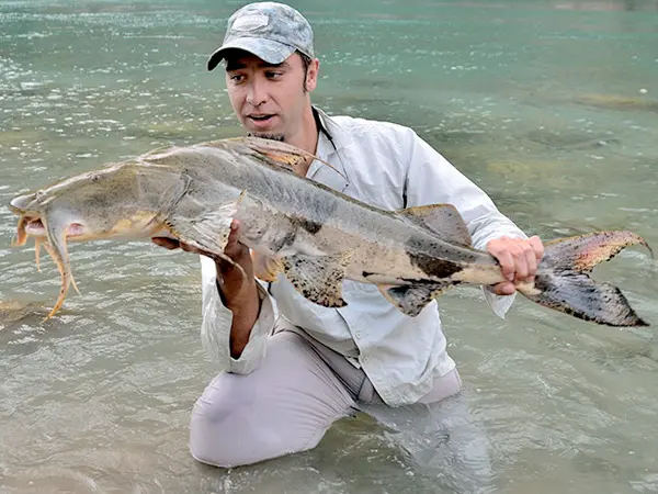 Trishuli River Fishing